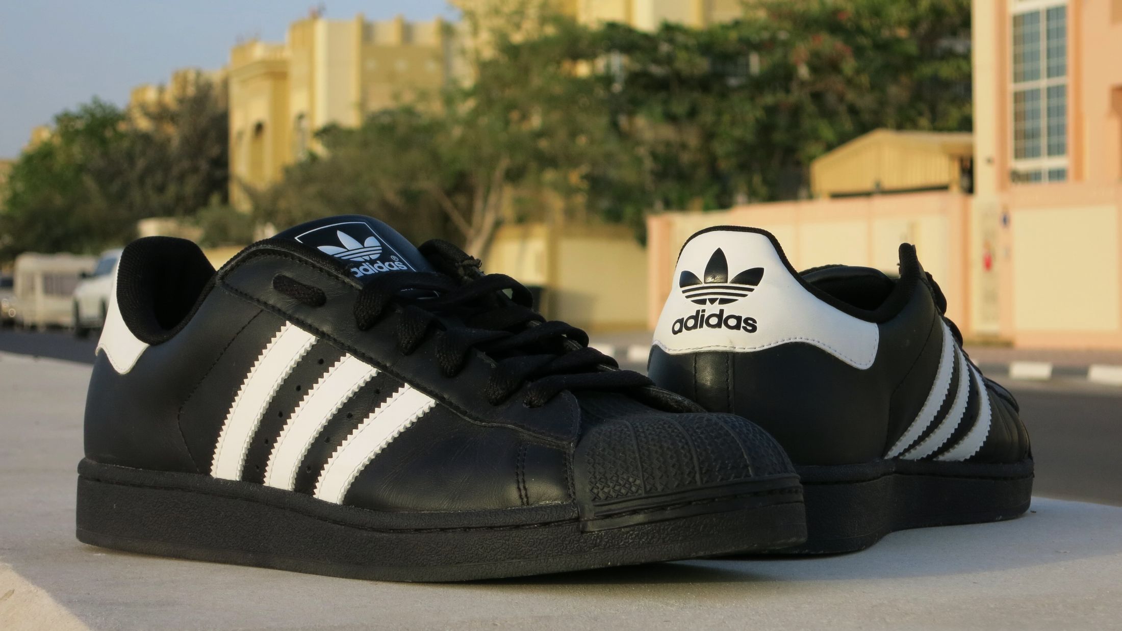 ADIDAS SUPERSTAR | Buzz - Online Shop