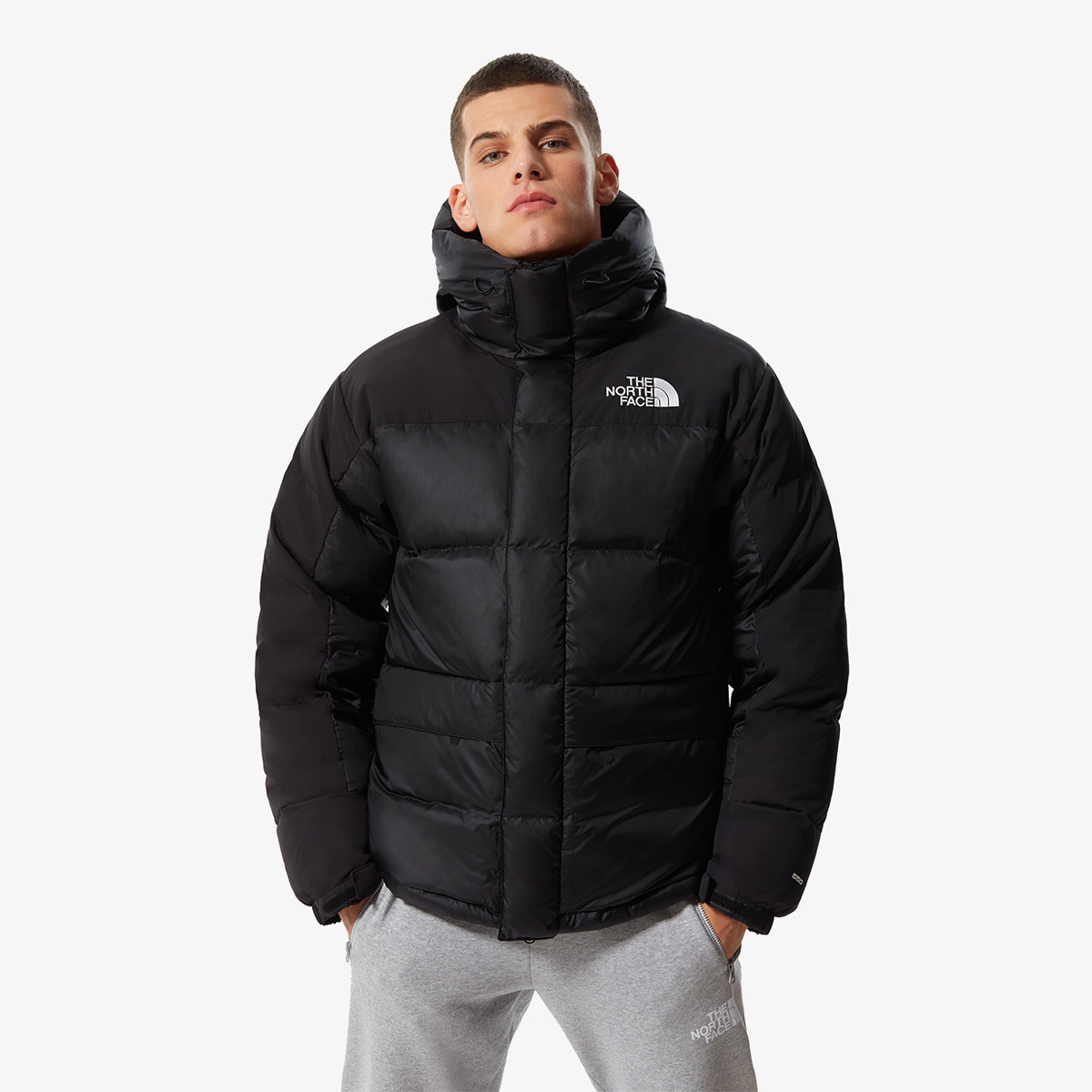 The north face cena sales
