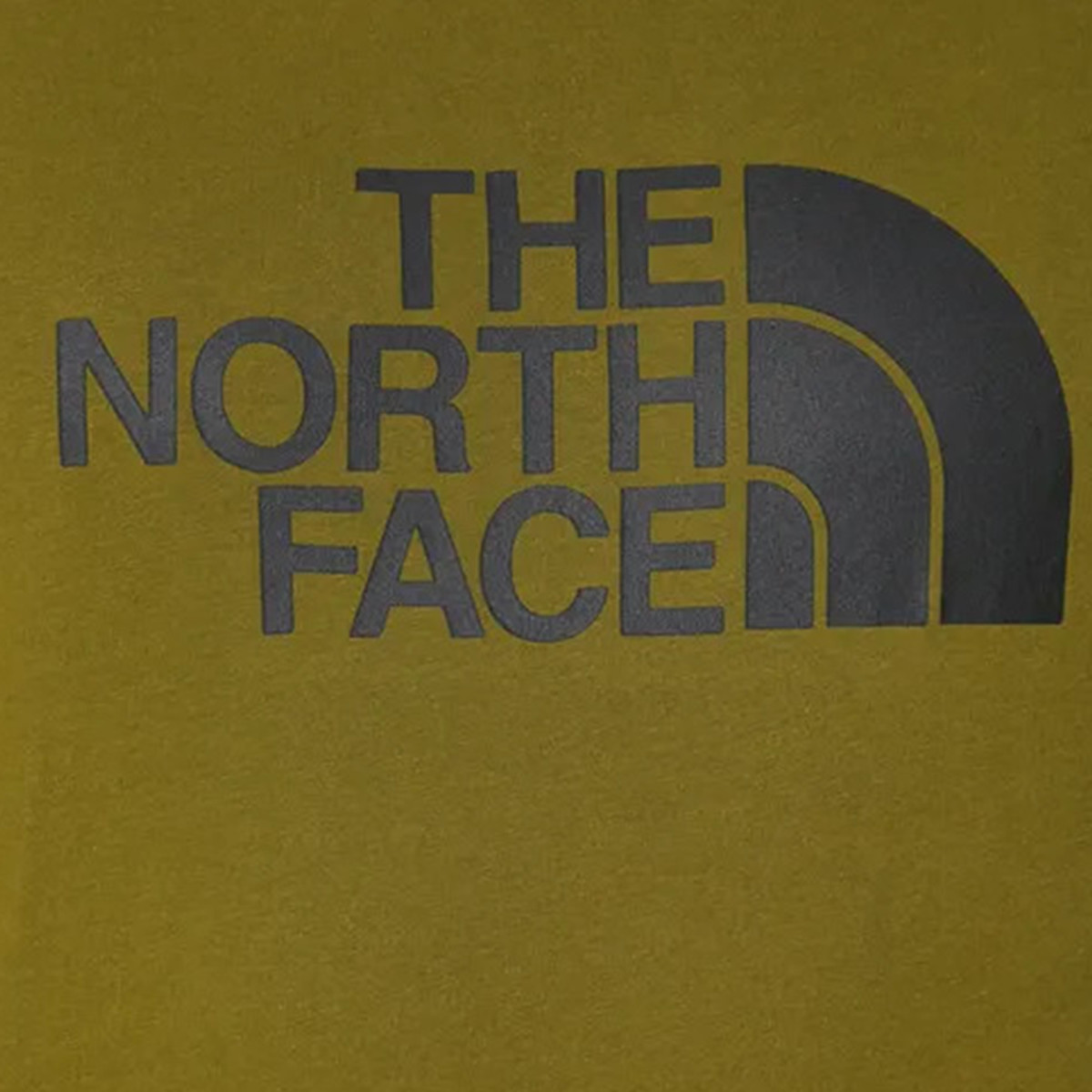 THE NORTH FACE Majica Easy 