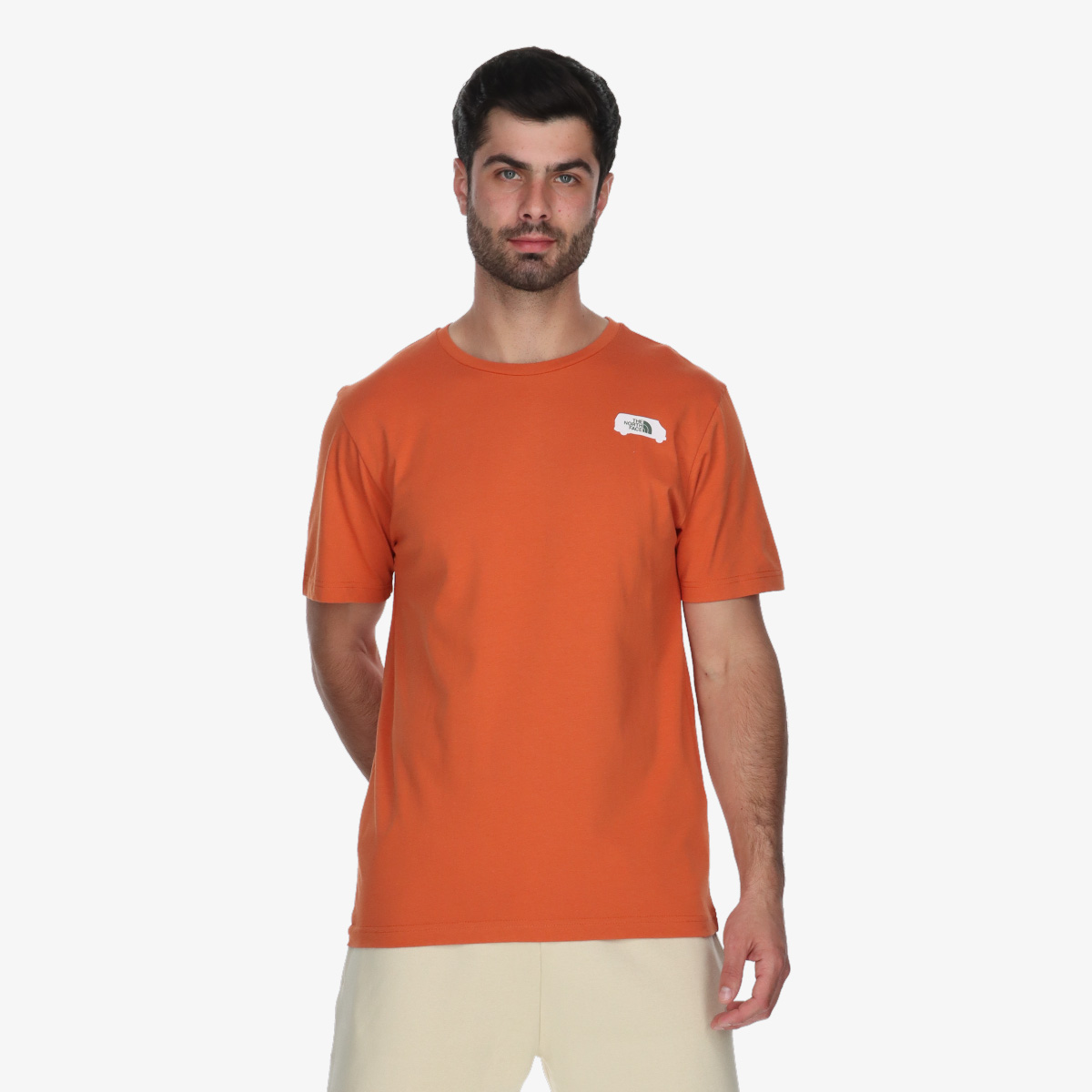 THE NORTH FACE Majica Graphic