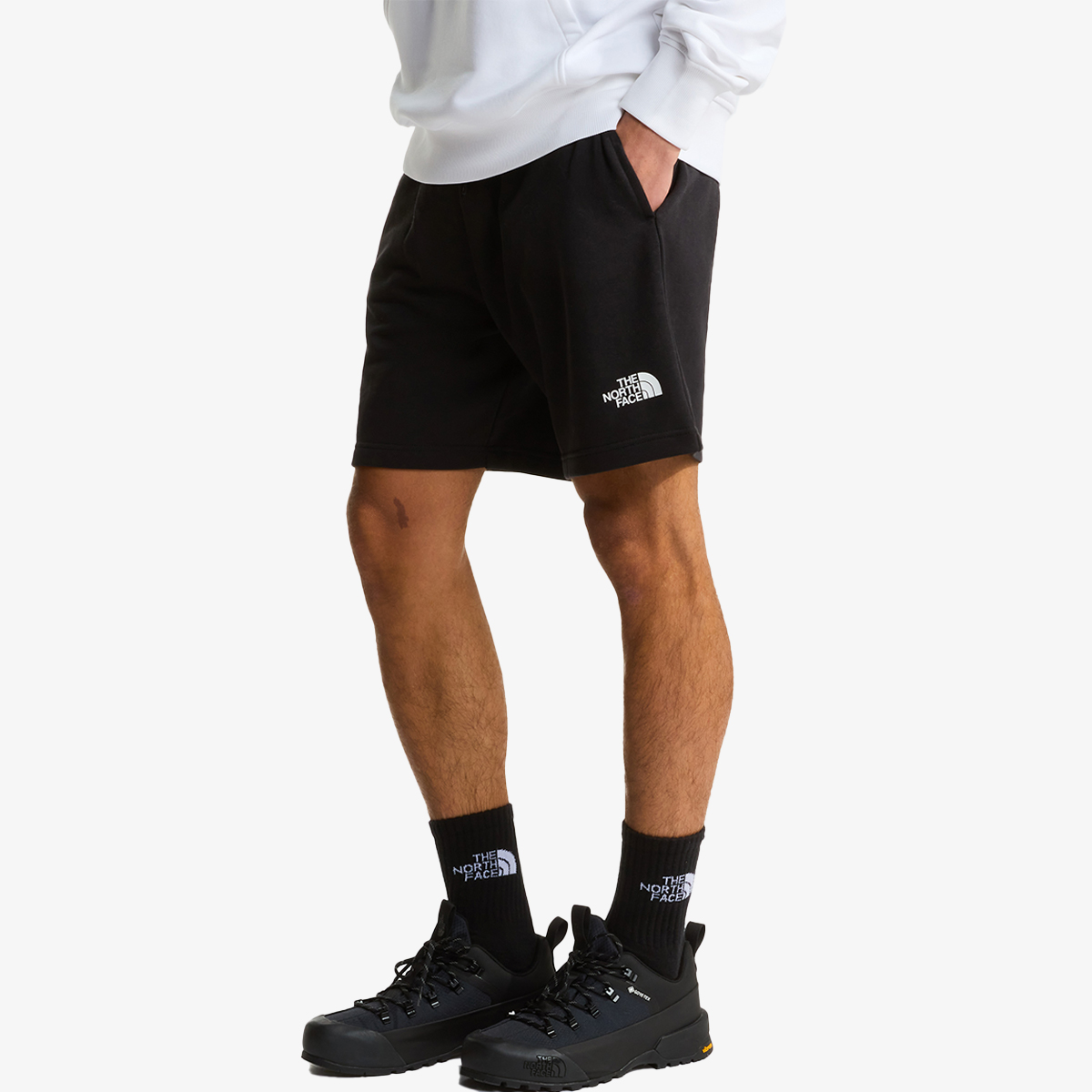 THE NORTH FACE Šorc Simple Dome Light Regular