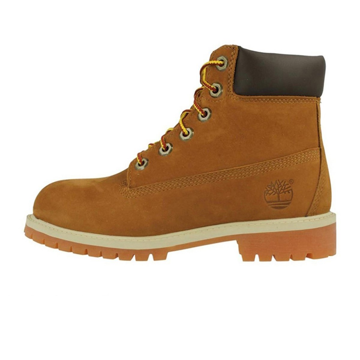 TIMBERLAND Cipele 6 IN CLASSIC BOOT FTC 