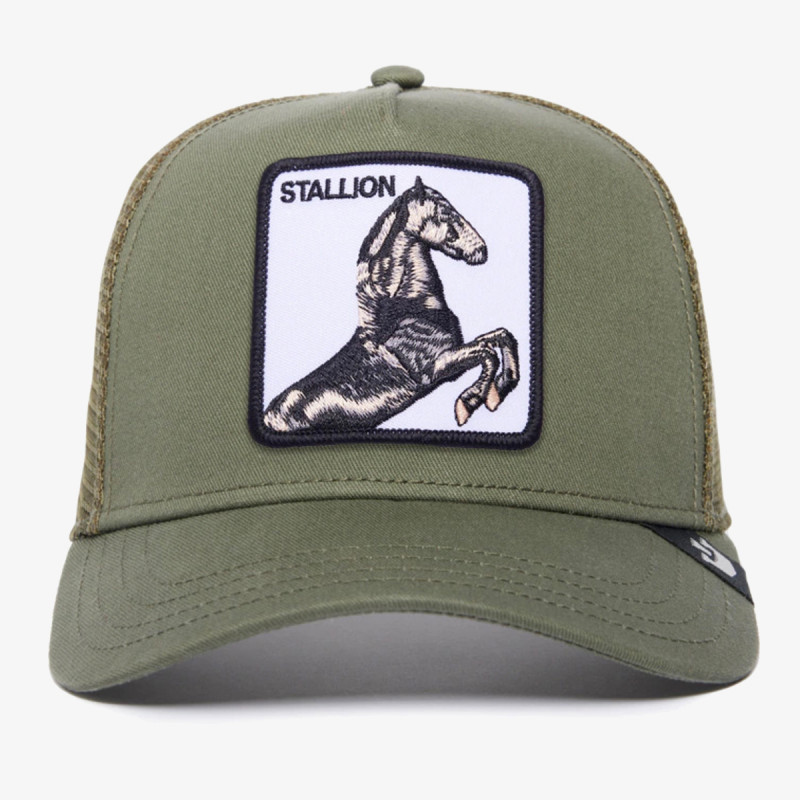 GOORIN BROS Kačket The Stallion 