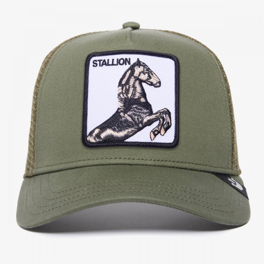 GOORIN BROS Kačket The Stallion 