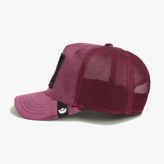 GOORIN BROS Kačket VELOUR TIGER 