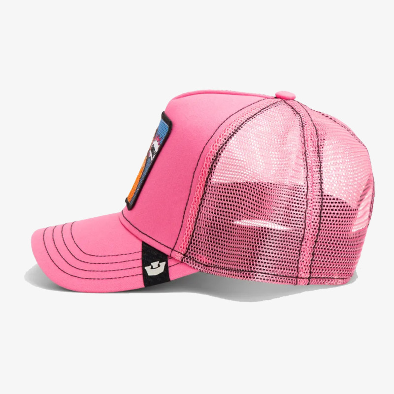 GOORIN BROS Kačket POPART - QUEEN LION 