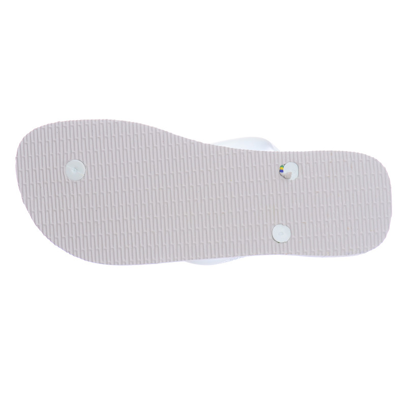 Japanke HAV. BRAZIL LOGO 