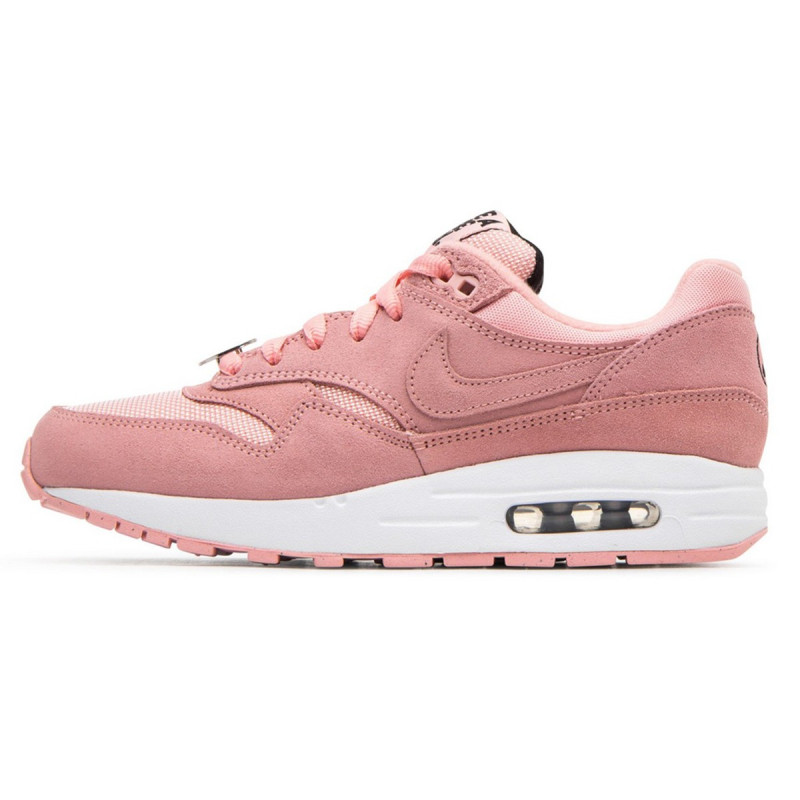 air max 1 nk day