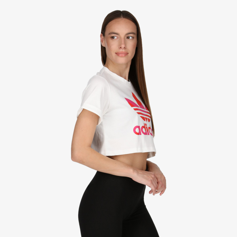 adidas Majica Crop Tee 