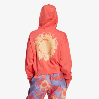 adidas Dukserica Sunflower Graphic 