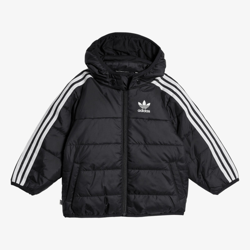adidas Jakna PADDED 