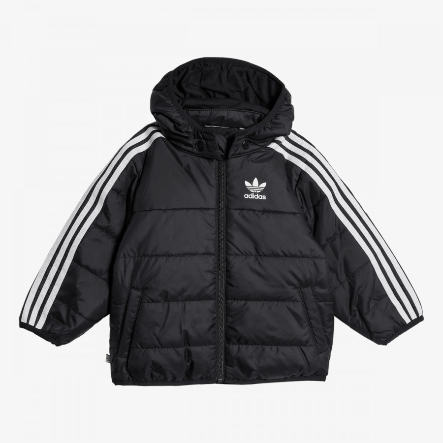 adidas Jakna PADDED 