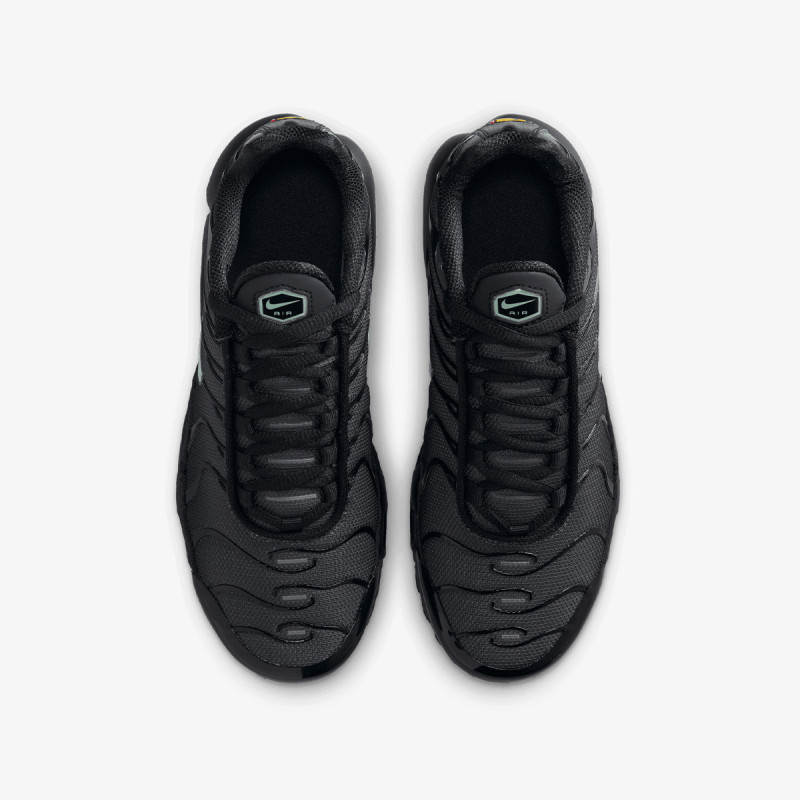 NIKE Patike NIKE AIR MAX PLUS GS MTDH 