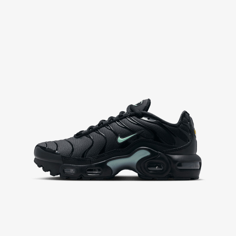 NIKE Patike NIKE AIR MAX PLUS GS MTDH 