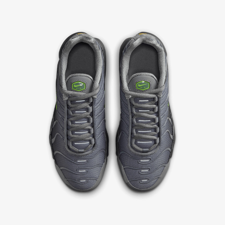 NIKE Patike NIKE AIR MAX PLUS GS MTDH 