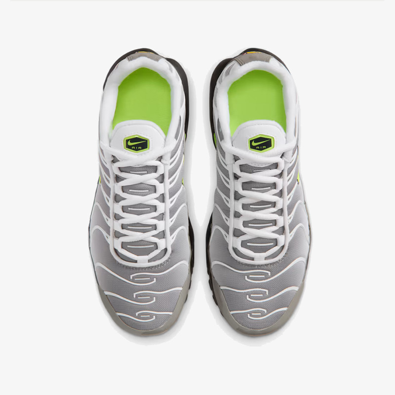 NIKE Patike NIKE AIR MAX PLUS GS AMD 