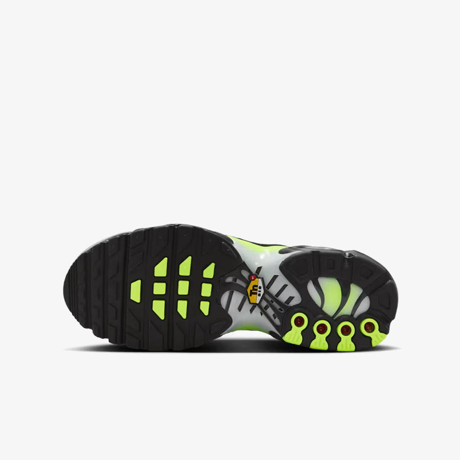 NIKE Patike NIKE AIR MAX PLUS GS AMD 