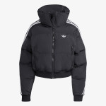 adidas Jakna Adicolor Cropped Down Puffer 