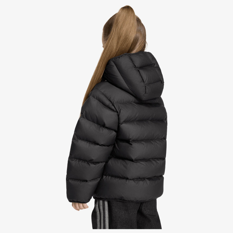 ADIDAS Jakna Regular 