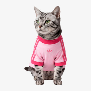 ADIDAS DUKSERICA PET Pet Cali 