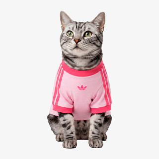 ADIDAS DUKSERICA PET Pet Cali 