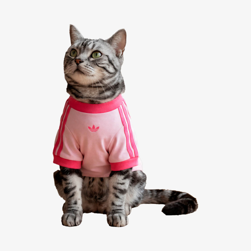 ADIDAS DUKSERICA PET Pet Cali 