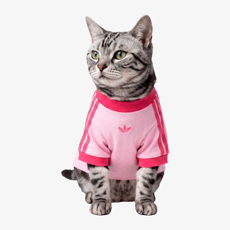 ADIDAS DUKSERICA PET Pet Cali 