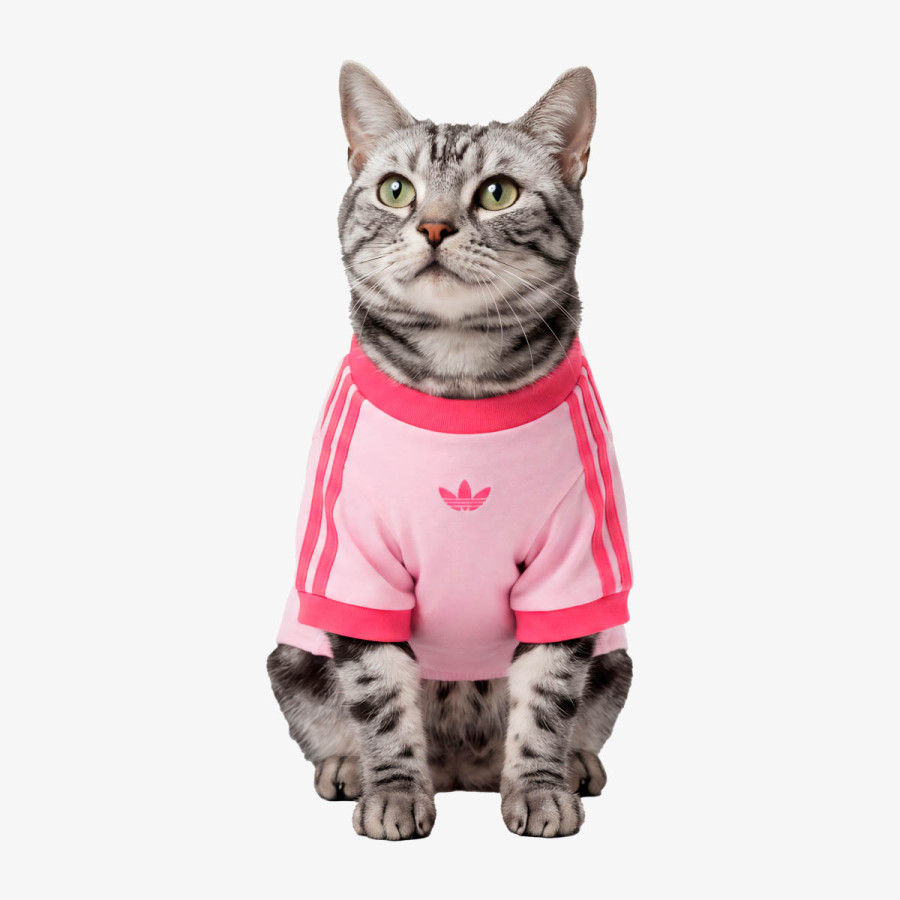ADIDAS DUKSERICA PET Pet Cali 