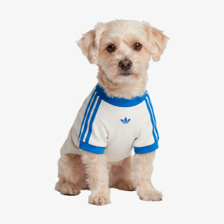 ADIDAS DUKSERICA PET PET CALI TEE 