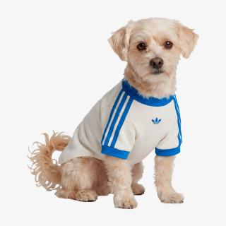 ADIDAS DUKSERICA PET PET CALI TEE 