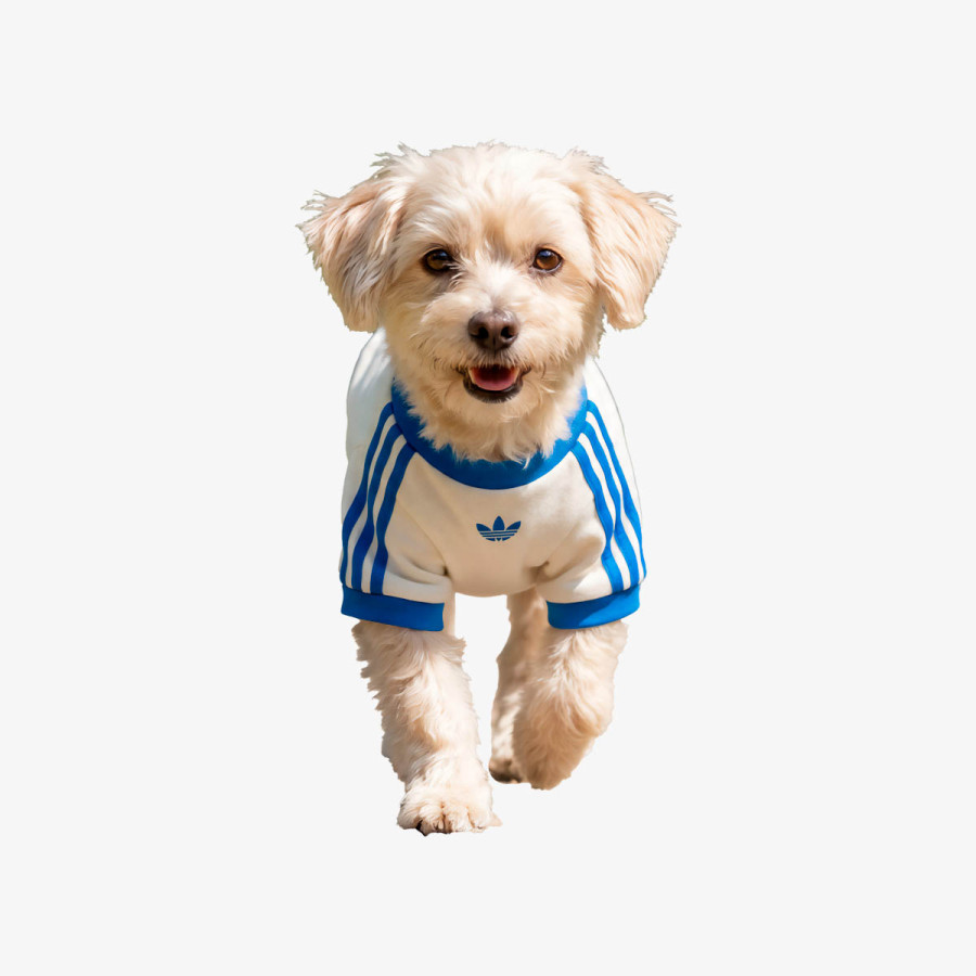 ADIDAS DUKSERICA PET PET CALI TEE 