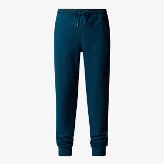 THE NORTH FACE Pantalone M NSE PANT 