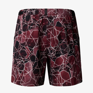 THE NORTH FACE Šorc M CLASS V PATHFINDER BELTED SHORT - 7