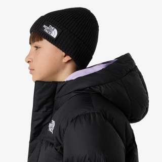 THE NORTH FACE Kapa KIDS TNF LOGO BOX CUFFED BEANIE 