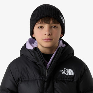 THE NORTH FACE Kapa KIDS TNF LOGO BOX CUFFED BEANIE 