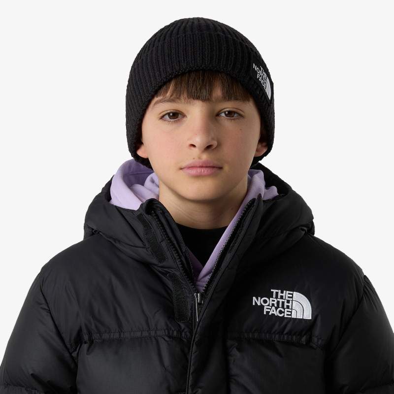 THE NORTH FACE Kapa KIDS TNF LOGO BOX CUFFED BEANIE 