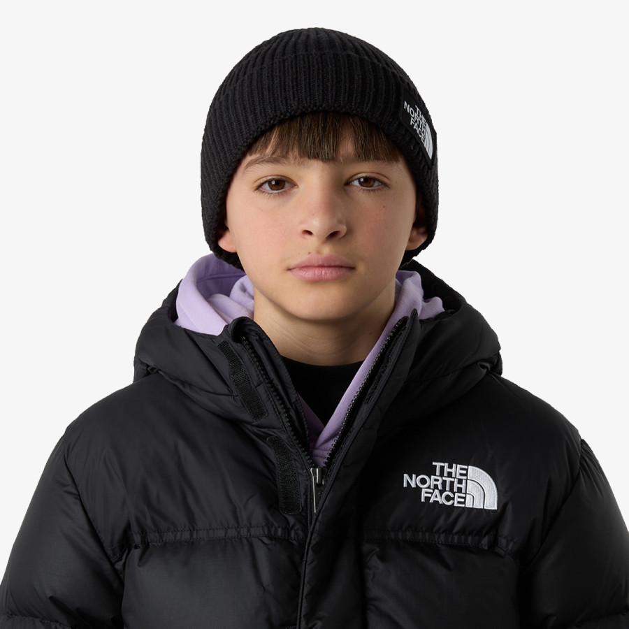 THE NORTH FACE Kapa KIDS TNF LOGO BOX CUFFED BEANIE 
