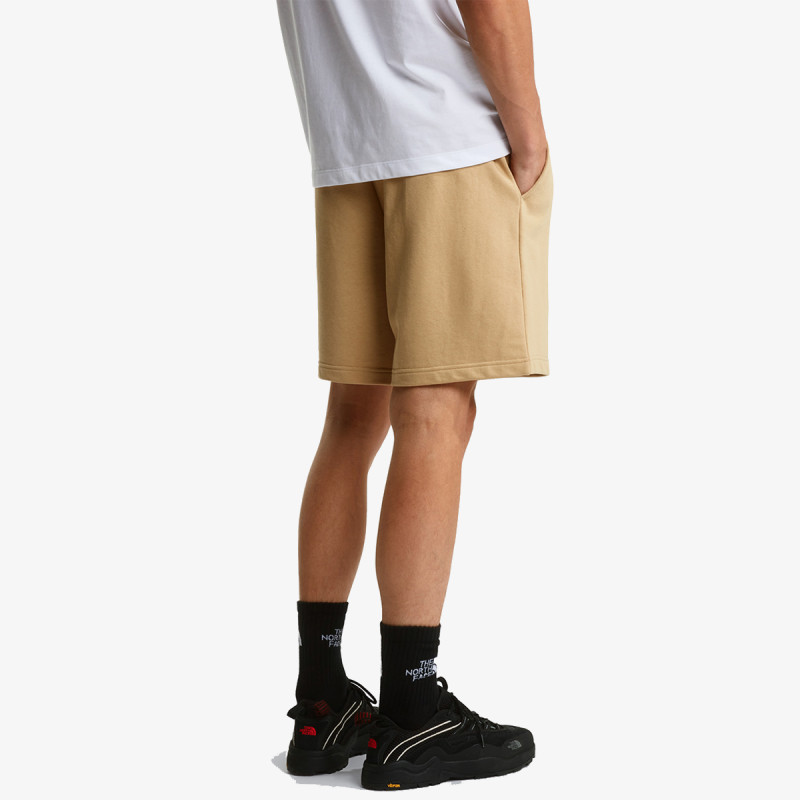 THE NORTH FACE Šorc BOX NSE LIGHT REGULAR SHORTS 
