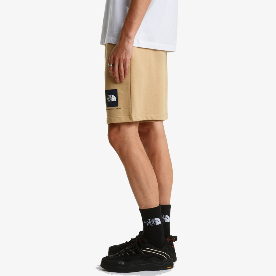 THE NORTH FACE Šorc BOX NSE LIGHT REGULAR SHORTS 