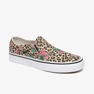 VANS Patike ASHER 