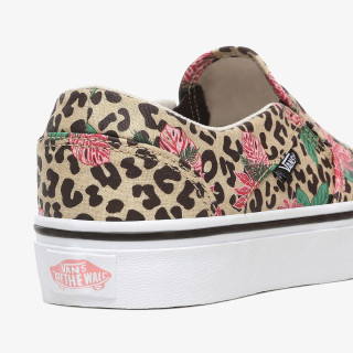 VANS Patike ASHER 